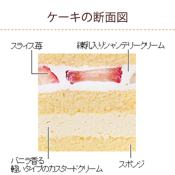 不二家×南果歩「ショートケーキ12の物語“ペコちゃんからのおくりもの”」断面