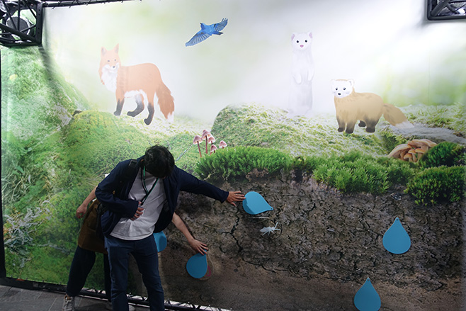 雨が落ちる土を体感するゾーン