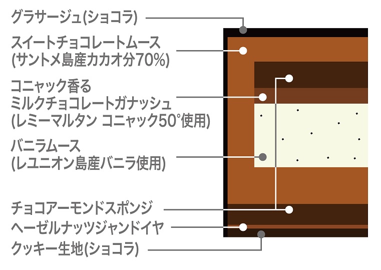 ヴィタメール「ショコラ･プリュム」断面図