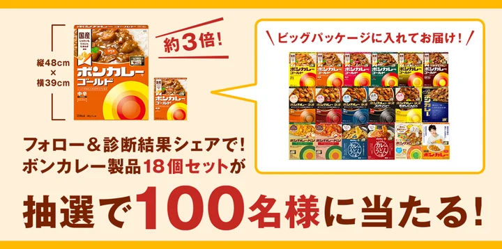 ボンカレーが「パーソナルカレー診断キャンペーン」を2月16日まで1週間実施